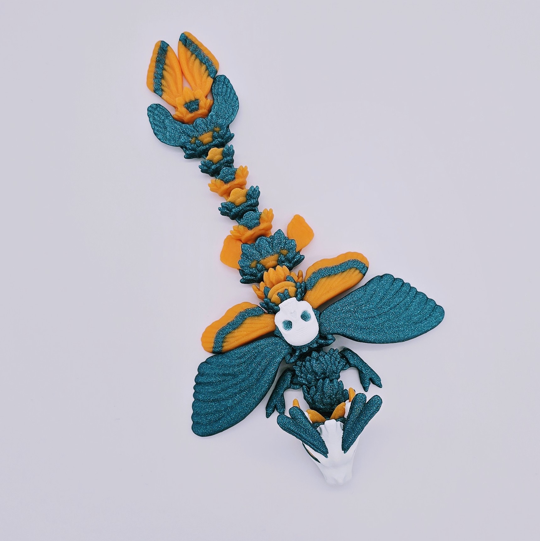 Totenkopfmotte Drache Baby Ansicht 2